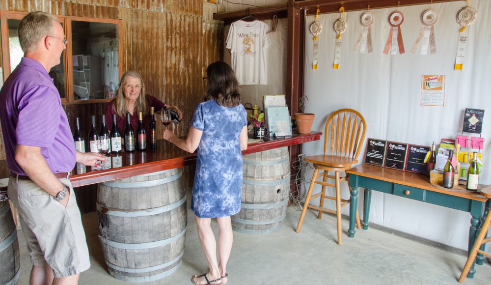 A relaxed day in the Wine Tree Farm Tasting Room