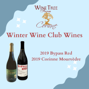 2024 Winter Wine Club - 2019 Mourvèdre and 2019 ByPass Red