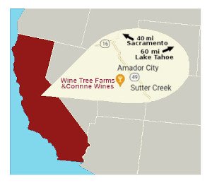 Wine Tree Farm Location