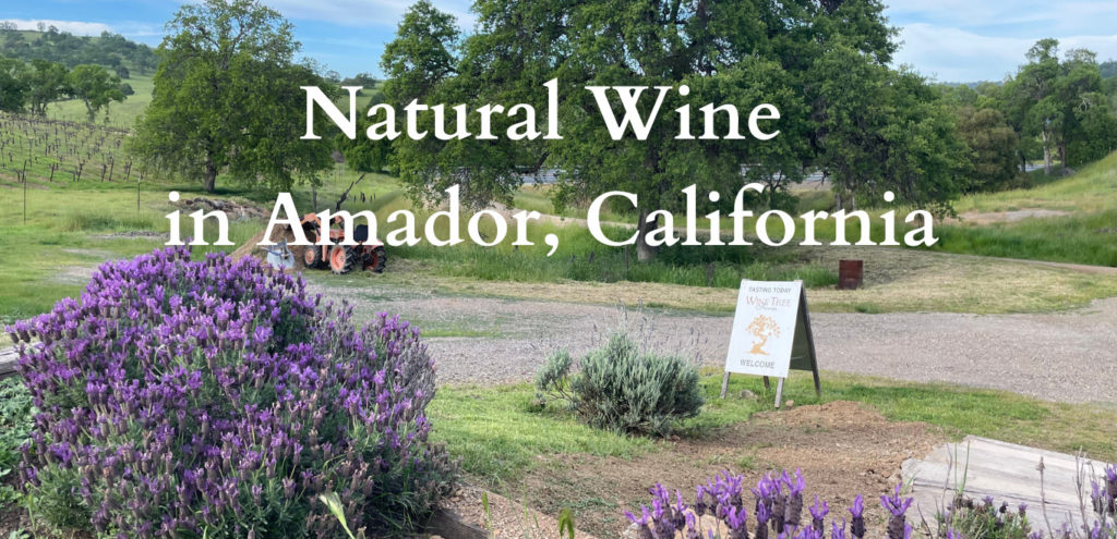 Wine Tree Farm - Home of Natural Wine