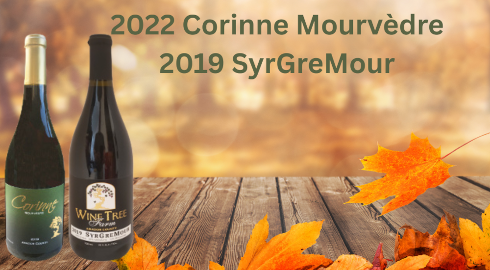 2025-Fall_Wine-Club_Wines