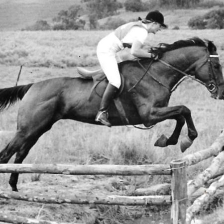 Horse_Jumping_672x504.jpg